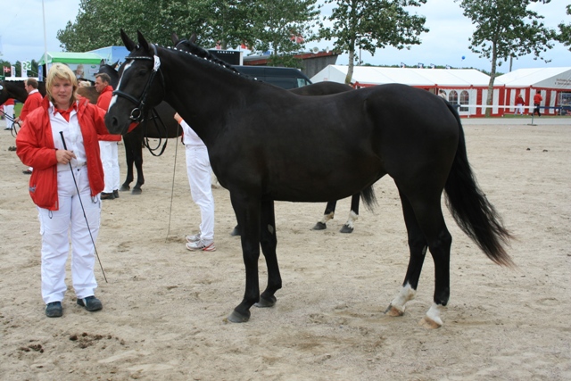 Ktl. 78, Baslands Colombine 208333OL0802378 - 22 p. - tilh. Liza Skov Andersen, Grenaa